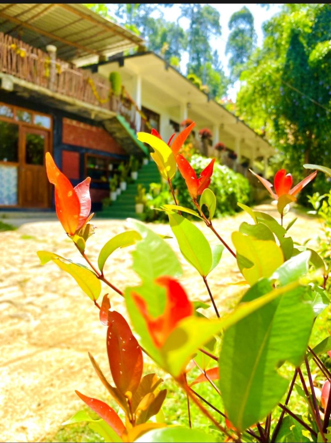Hotel Blissful Haven Ella Zewnętrze zdjęcie