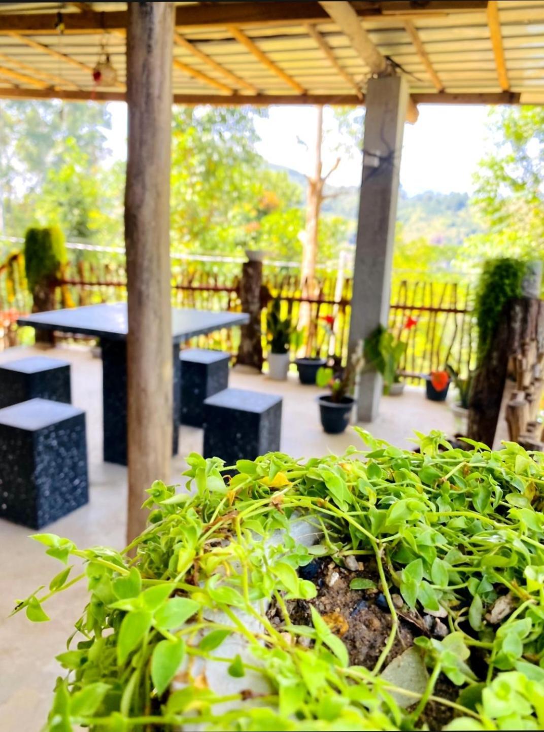 Hotel Blissful Haven Ella Zewnętrze zdjęcie